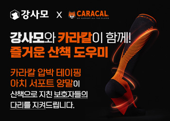 배너