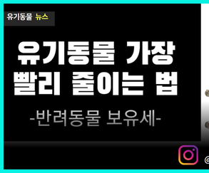 반려동물 보유세 도입, 시골 유기 동물에 대한 새로운 시각!