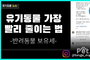 반려동물 보유세 도입, 시골 유기 동물에 대한 새로운 시각!