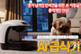 AI 반려동물 자동급식기, 정말 반려견에게 안전한가?