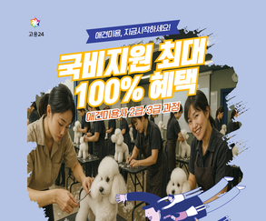 구미펫직업훈련학원, 7월 애견미용사 국비과정 개강
