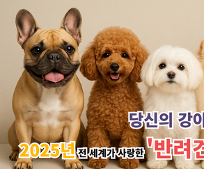 유튜브 강사모TV, ‘2025 전 세계가 사랑한 반려견 TOP5’ 발표