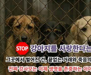 개를 사고파는 모임이 어찌 강사모입니까” 윤리적 반려견 문화로의 전환, 100만 회원 커뮤니티의 그늘, 강아지 공장… 새로운 강사모의 탄생