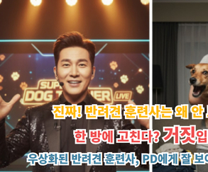 반려견 훈련사 우상화의 그늘…누가 피해자가 되는가?