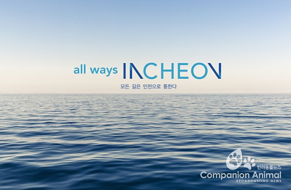 인천광역시。