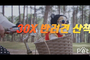 [캠페인] “30X 반려견 산책 챌린지"로 건강한 반려 문화 조성에 앞장서는 강사모 공식 카페! 반려견 산책에 함께 하세요!