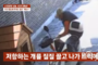 대전 봉봉이 사건 파장, 보호자 “반려견 봉봉이, 집 마당서 불법 침입한 개장수 트럭에 실려 갔다”… 보호자 직접 통화, 대전 반려견 사건 파장(개장수 주거지 불법 침입 사건)